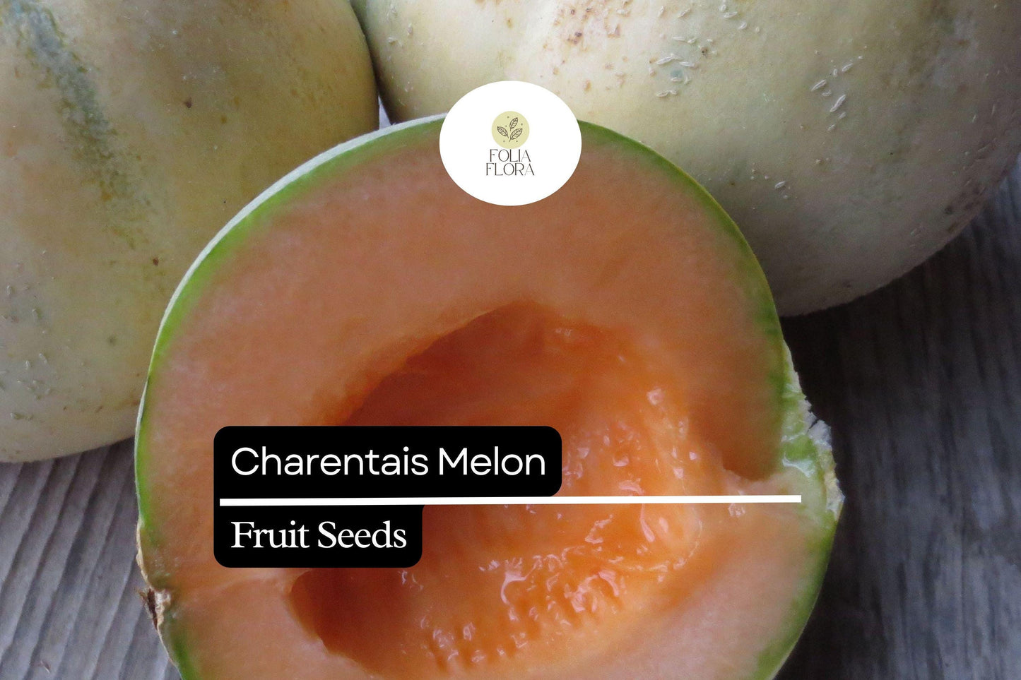 25 Seeds Charentais Melon (Cucumis melo) – French Heirloom Melon with Sweet, Fragrant Flesh