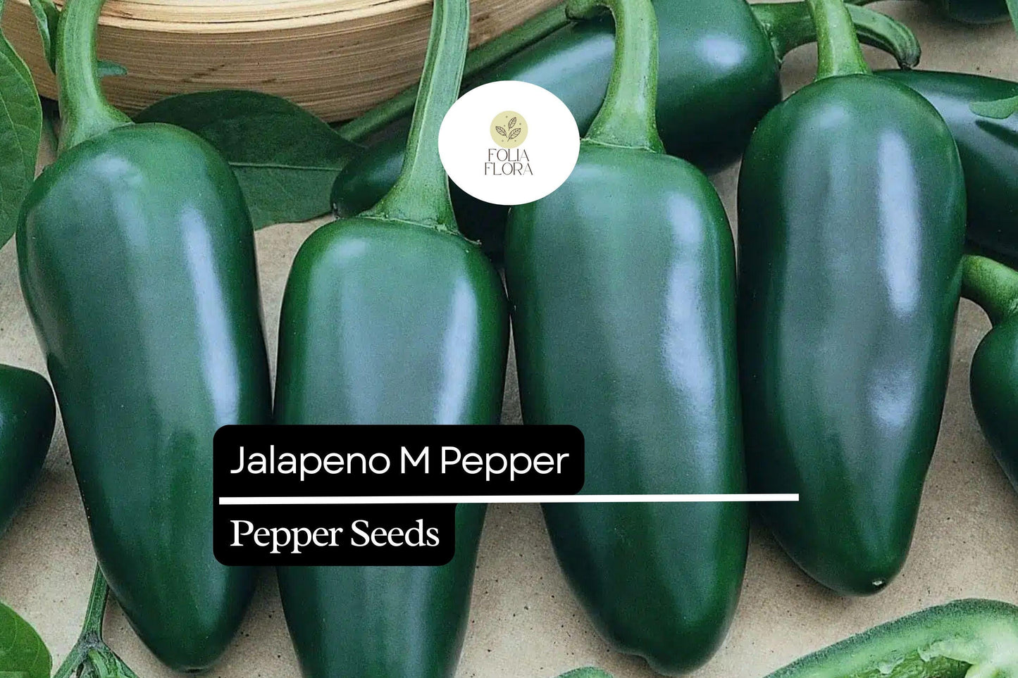 25 Jalapeño M Pepper Seeds – Capsicum annuum – Heirloom, Non-GMO, Medium Heat (2,500–5,000 SHU)