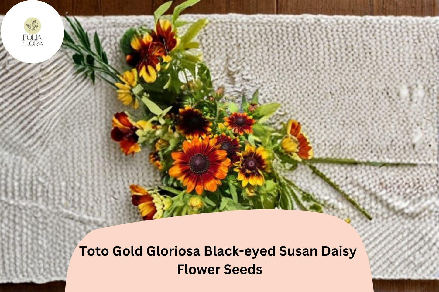 200+ Toto Gold Gloriosa Black-eyed Susan Daisy Seeds | Rudbeckia hirta | Bright Golden Blooms | Easy to Grow Perennial