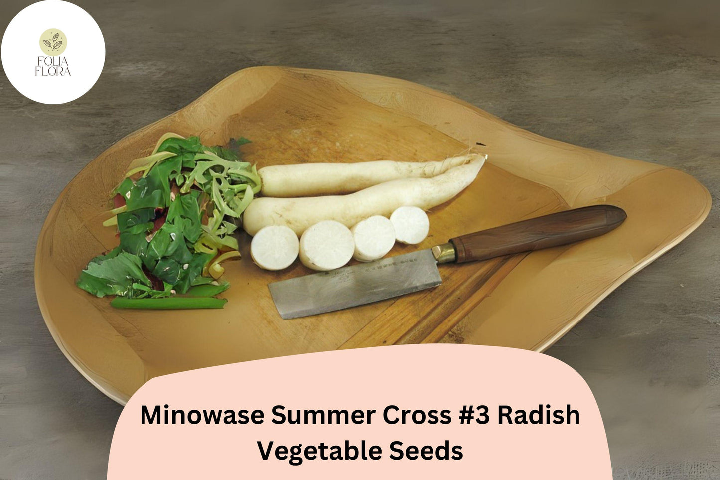 500+ Minowase Summer Cross #3 Radish Seeds – Hybrid Daikon Radish for Garden Planting