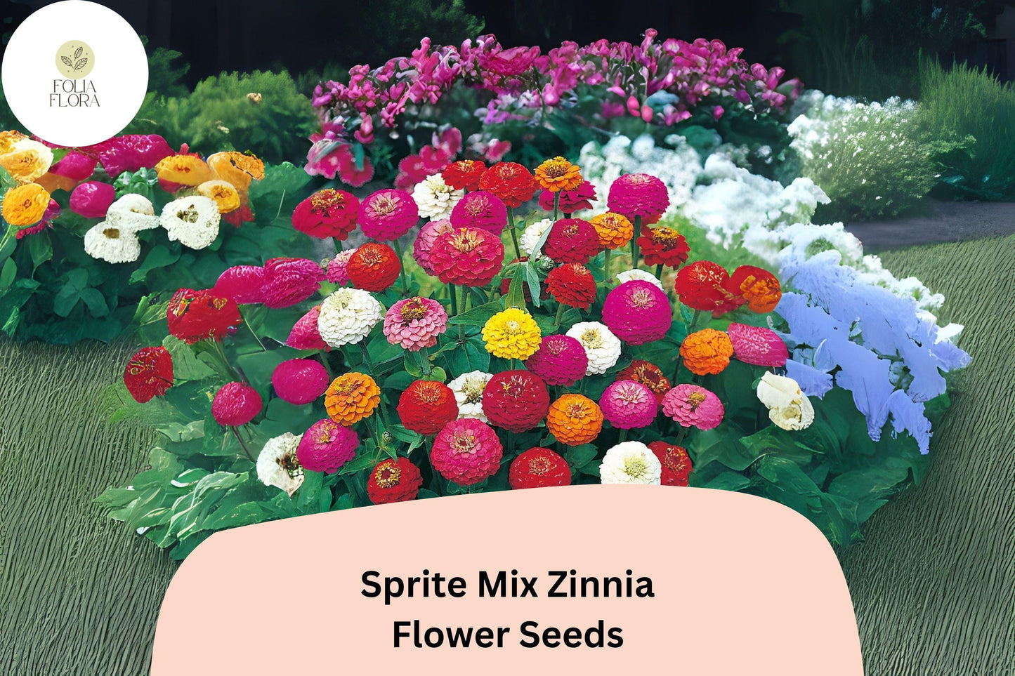 Sprite Mix Zinnia Seeds: Dwarf Variety, Colorful Garden Flowers