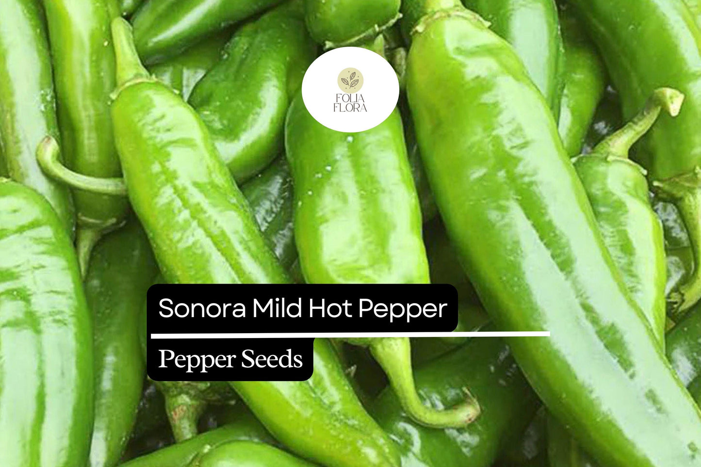 Sonora Mild Hot Pepper Seeds 250mg | Capsicum annuum | Non-GMO, Heirloom, Mild Heat, High-Yield, Perfect for Salsas, Roasting, and Cooking