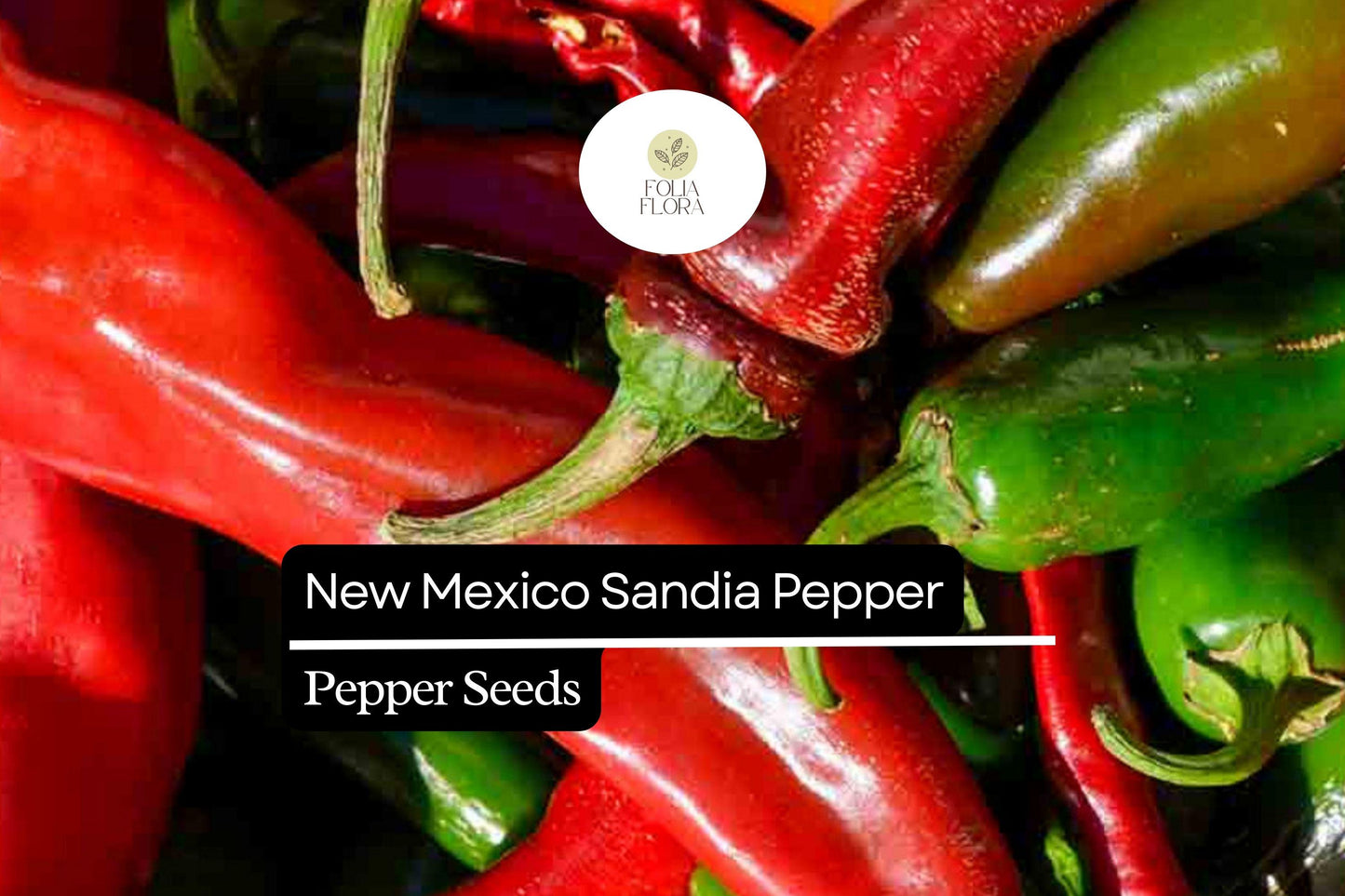 25 New Mexico Sandia Pepper Seeds – Capsicum annuum – Mild to Medium Heat, Heirloom Chili, Non-GMO, Perfect for Roasting & Drying
