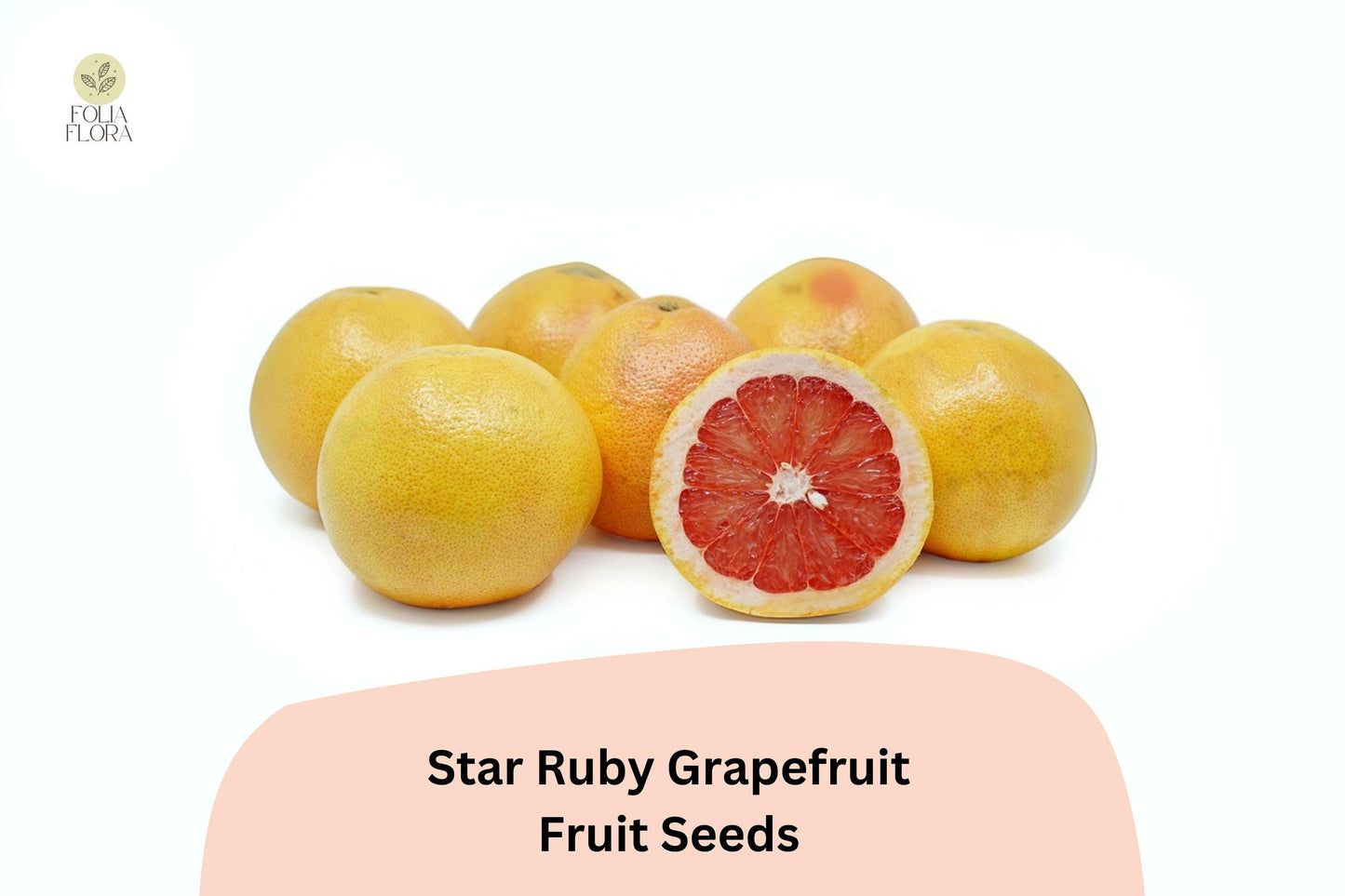 5+ Star Ruby Grapefruit Seeds – Juicy, Deep Red, Sweet-Tart Citrus Tree
