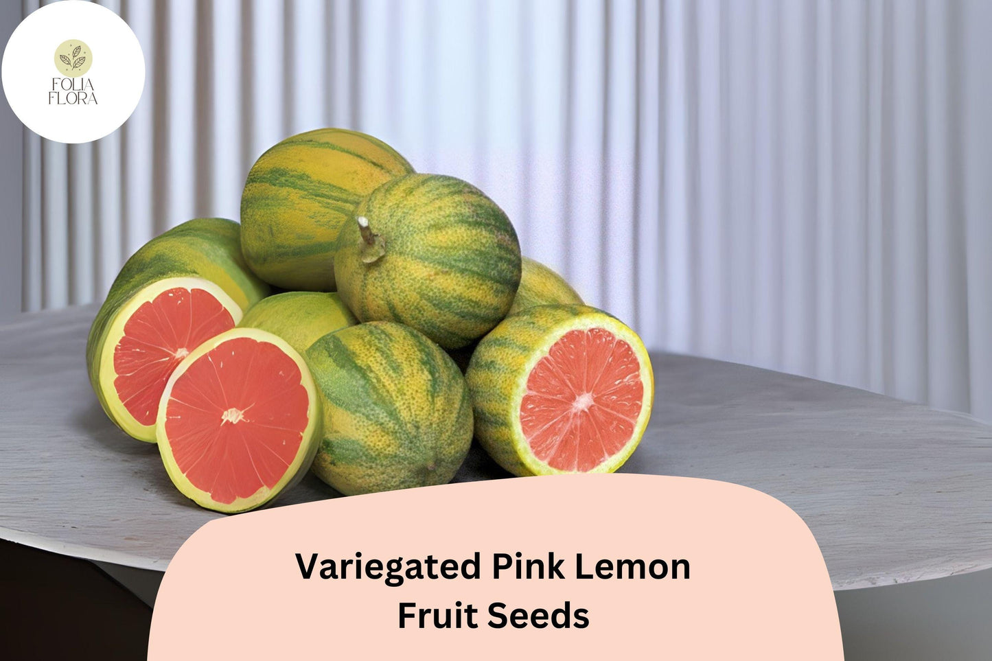 5+ Variegated Pink Lemon Seeds – Unique, Juicy & Fragrant Citrus Tree