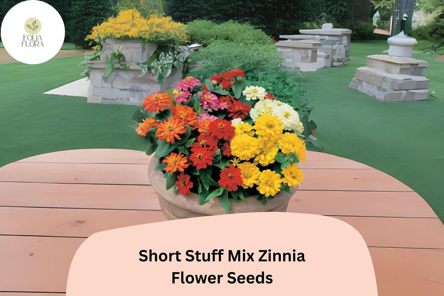 100+ Short Stuff Mix Zinnia Seeds – Dwarf Heirloom Non-GMO Annual Flowers for Garden Planting & Borders