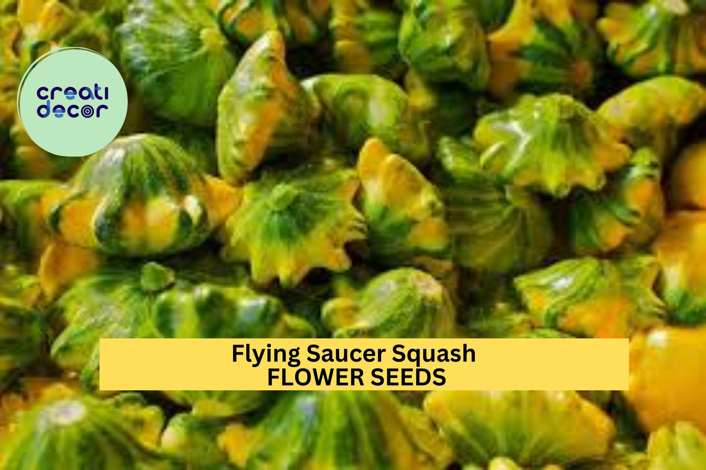 25+ Flying Saucer Squash Seeds – Uniquely Shaped Yellow & Green Pattypan Squash for Garden Planting, Edible Summer Variety – USA