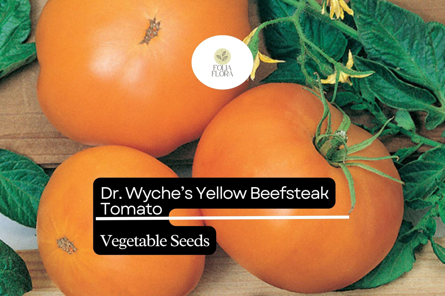 30 Dr. Wyche’s Yellow Tomato Seeds – Solanum lycopersicum – Heirloom Beefsteak, High-Yielding, Perfect for Slicing