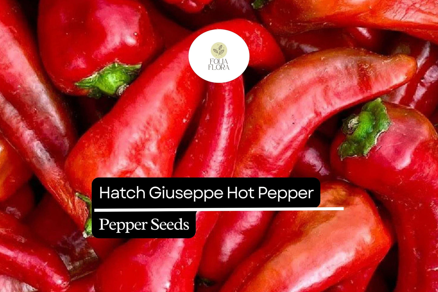 Hatch Giuzeppi Hot Pepper Seeds 250mg | Capsicum annuum | Non-GMO, Medium Heat, Prolific Variety, Perfect for Roasting, Salsas & Sauces
