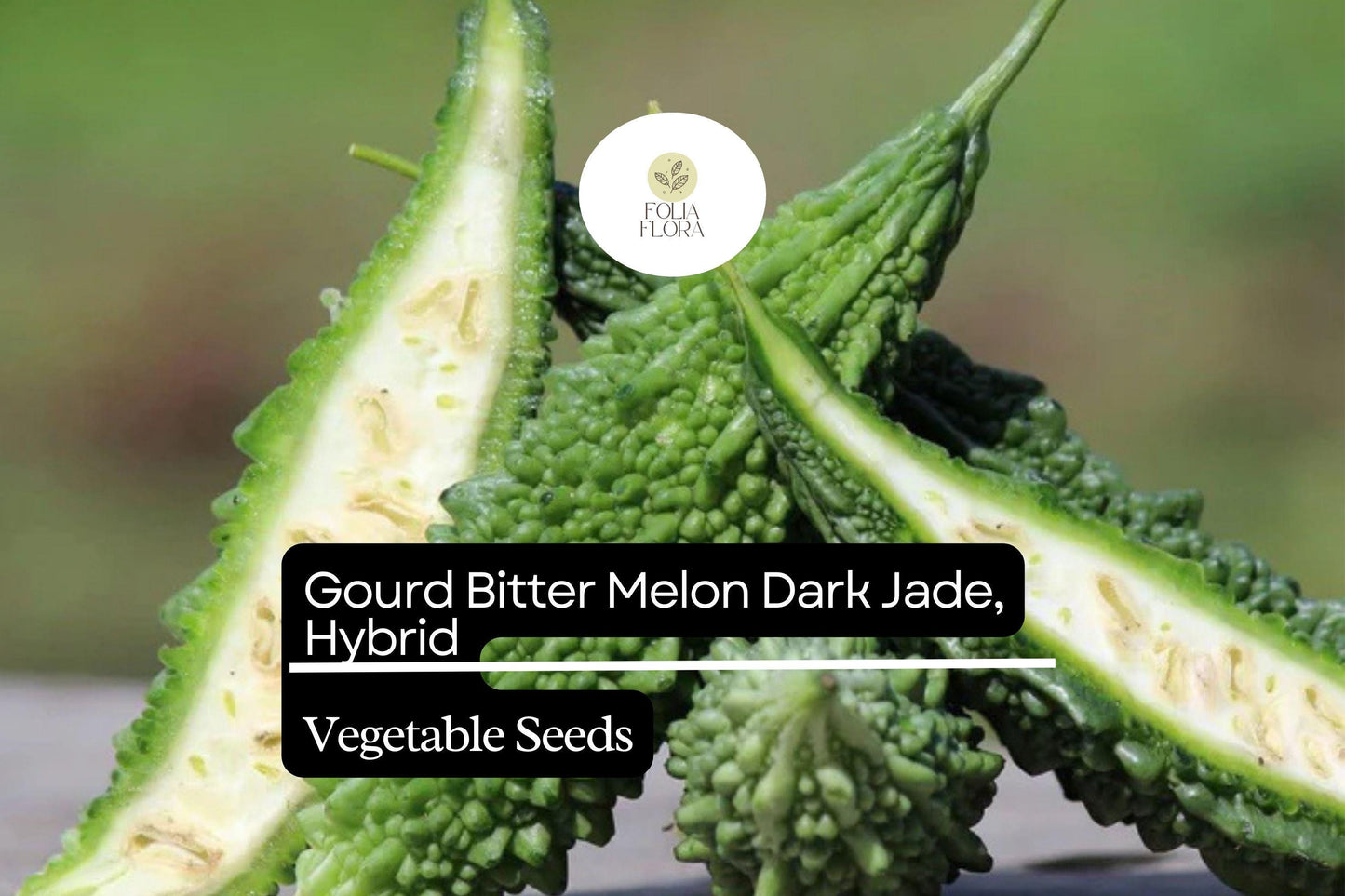 5 Seeds Bitter Melon Dark Jade Hybrid Momordica charantia | Bitter Gourd, High Yield, Heirloom, Non-GMO, Asian Cuisine, Easy to Grow
