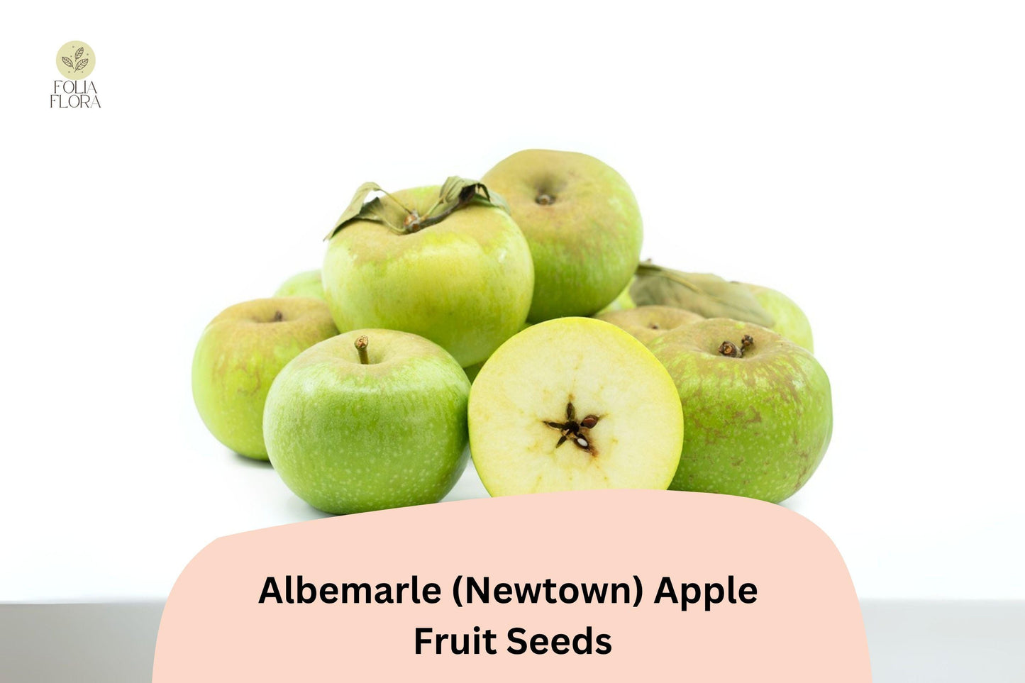 25+ Albemarle (Newtown) Apple Seeds | Heirloom Green Apple | Malus domestica | Crisp & Tart | Rare Garden Fruit Tree Seeds
