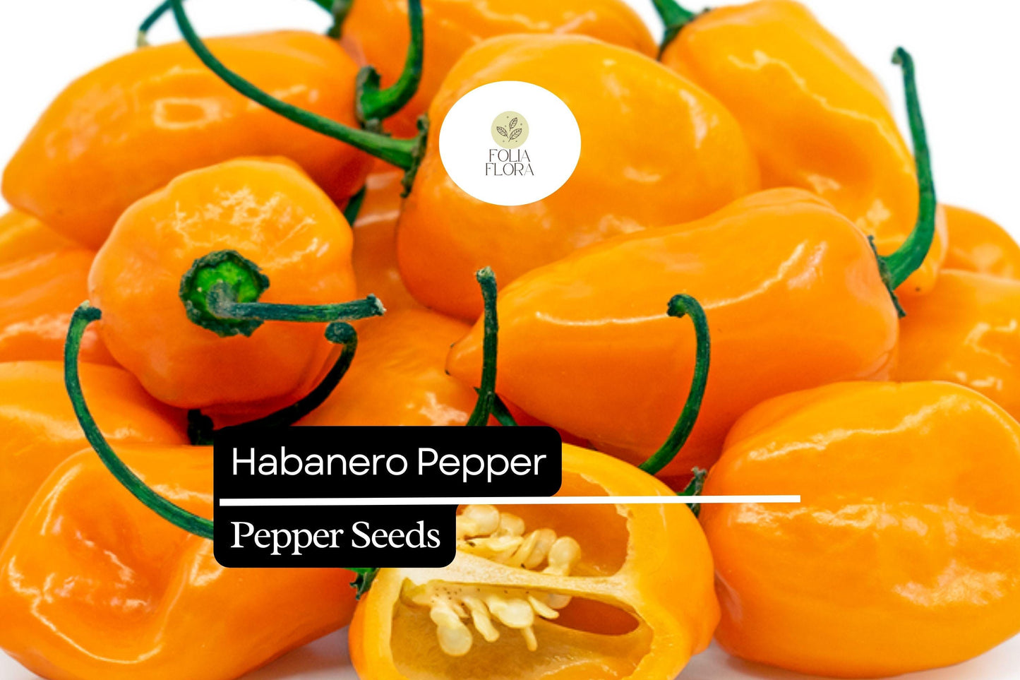 25 Habanero Pepper Seeds – Capsicum chinense – Extra-Hot Chili, Heirloom Variety, Non-GMO, 100,000–350,000 Scoville