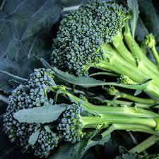 Set of 16 Vegetable & Herb Seeds – Garden Starter Pack with Basil, Arugula, Kale, Broccoli, Cilantro, Okra, Spinach and More – USA