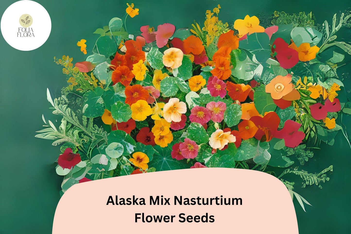 Tropaeolum majus Alaska Mix Nasturtium Seeds – 50+ Vibrant Blooms & Variegated Foliage