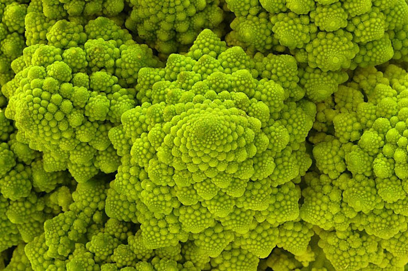 1,000 Romanesco Broccoli Seeds β Non-GMO Heirloom, Unique Fractal Shape, USA Seller,