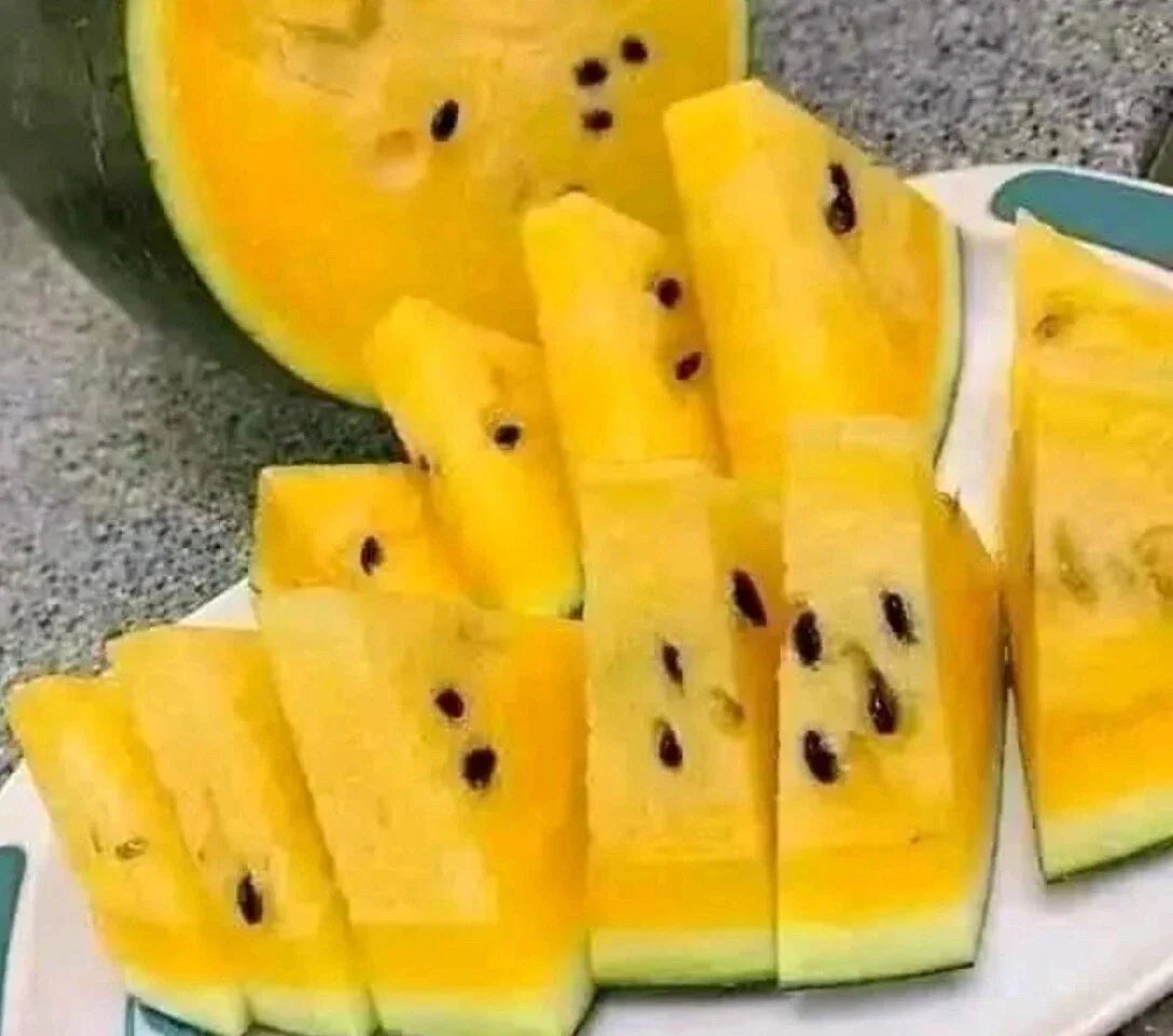 Yellow Watermelon Seeds - 15+ Non-GMO, True to Color, Rare Variety - Citrullus lanatus
