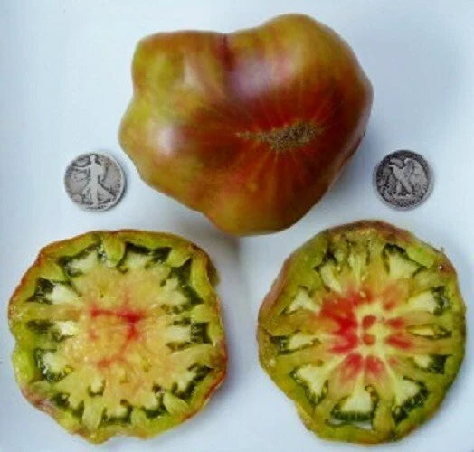 Ananas Noir Seeds - 25 Pack - Unique Pineapple Variety - Ananas comosus