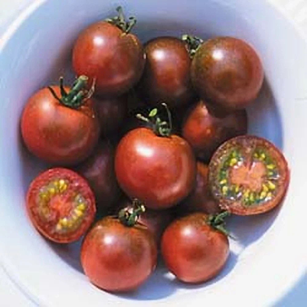 Brown Berry Tomato Seeds - 10+ Heirloom, Non-GMO, Organic - Rare Variety - Solanum lycopersicum