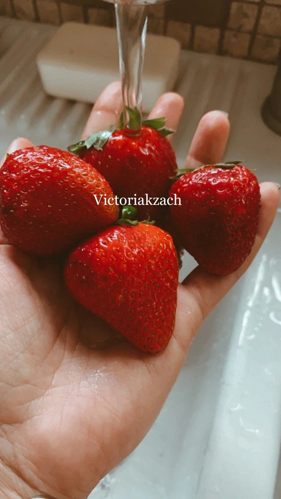 Strawberry Seeds - 100 Organic Non-GMO Sweet Berry Seeds - Homegrown Edible Garden Variety