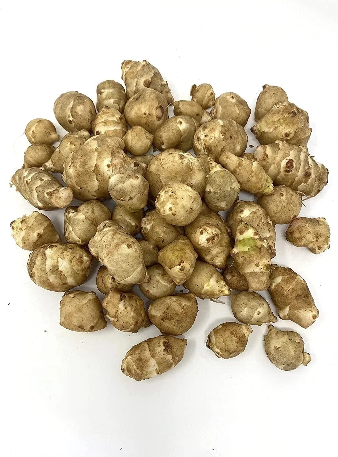 Organic White Sunchoke Tubers for Planting - Helianthus tuberosus - Non-GMO Jerusalem Artichoke, Easy to Grow, Perennial Vegetable