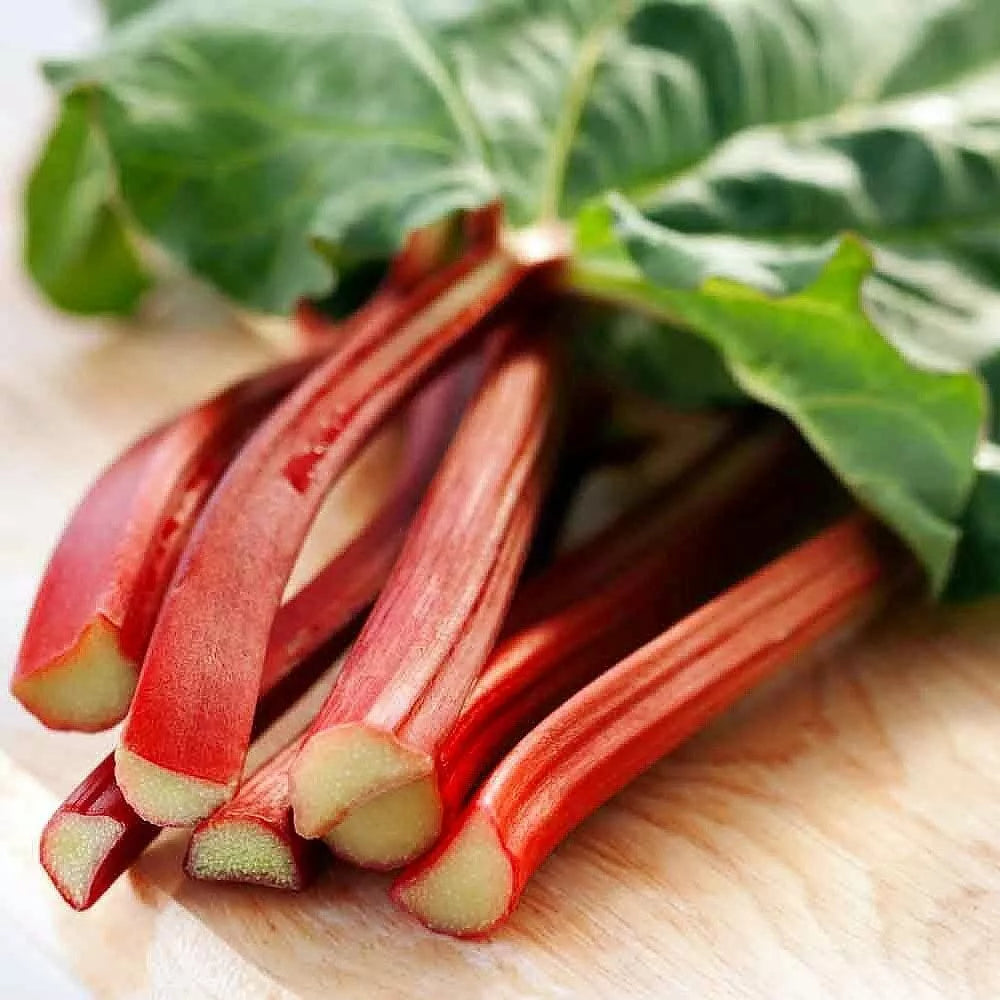 Victoria Red Rhubarb Seeds - 50 Perennial Seeds for Planting - Easy to Grow, Rheum rhabarbarum