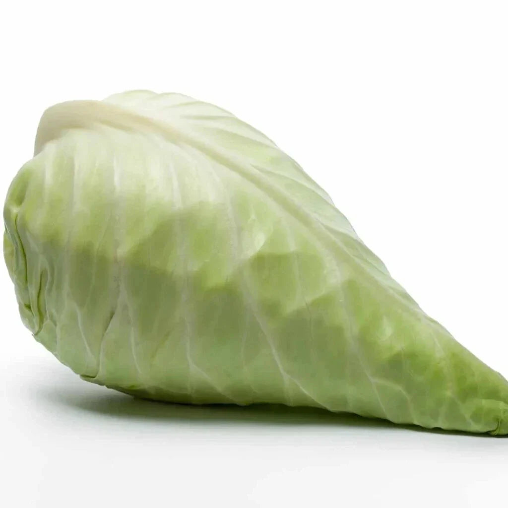 Hispi Cabbage Seeds - 500+ Count - Sweetheart Variety - Brassica oleracea - Ideal for Garden Planting - USA