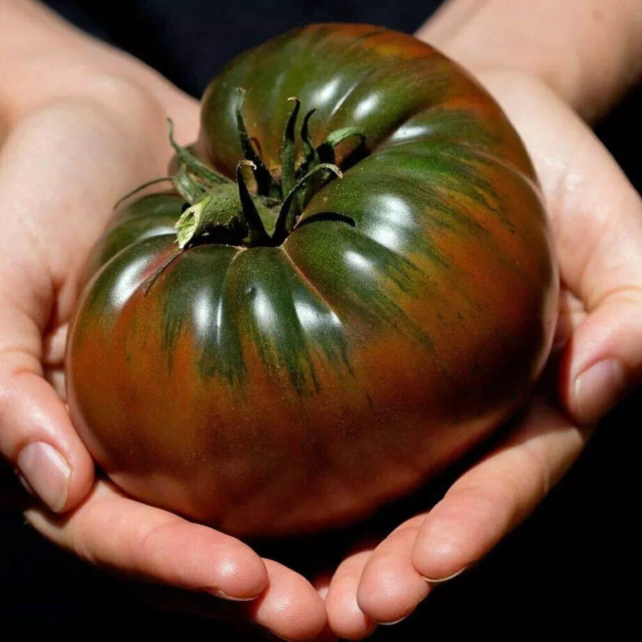 Russian Black Krim Tomato Seeds - 30+ NON-GMO Organic Heirloom Seeds - Fresh Garden Variety