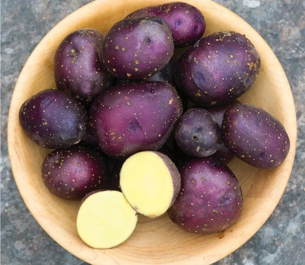 Harvest Moon Baby Seed Potatoes for Planting - Small, Organic, Early Variety, Solanum tuberosum