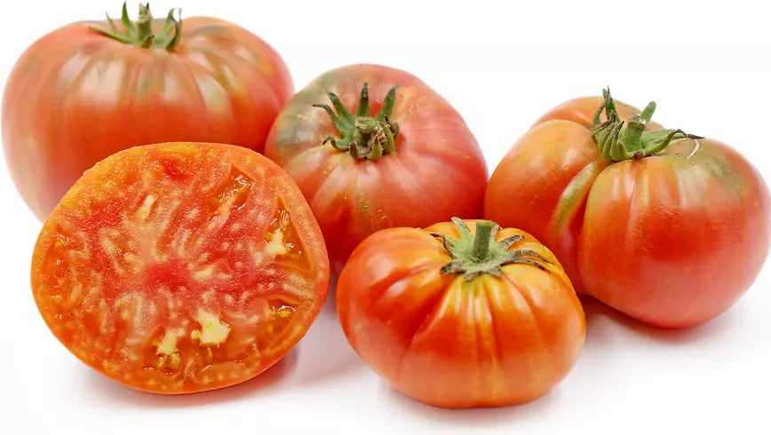 Vintage Wine Striped Tomato Seeds - 10+ Heirloom Beefsteak Variety - Rare 1 LB+ - Organic Gardening Seeds