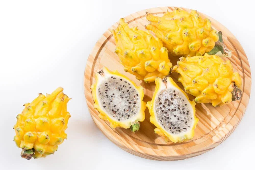 Yellow Dragon Fruit Seeds (30 Seeds) - Rare Exotic Hylocereus megalanthus for Planting and Garden Cultivation