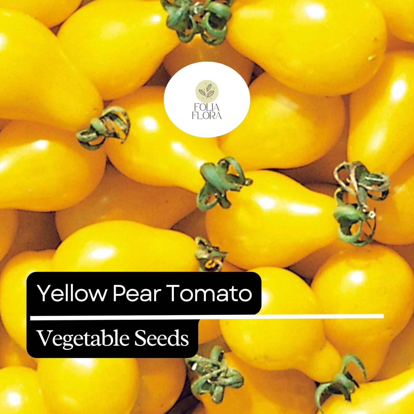 30 Yellow Pear Tomato Seeds – Heirloom, Sweet & Juicy, Non-GMO, Prolific Vine, Easy to Grow