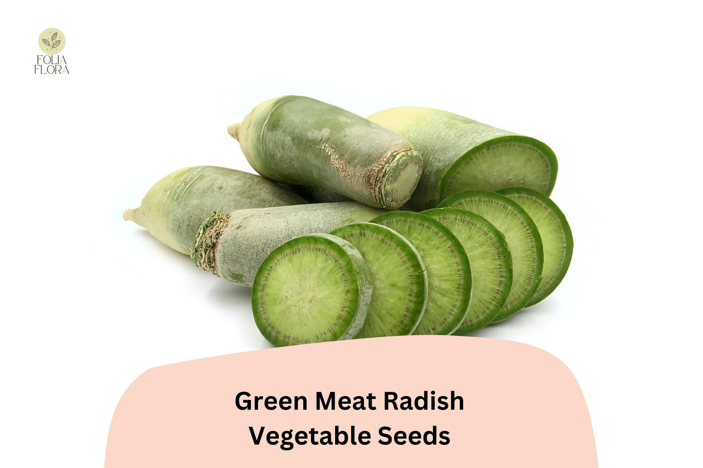 500+ Green Meat Radish Seeds – Heirloom Daikon Variety, Crisp & Mild Flavor