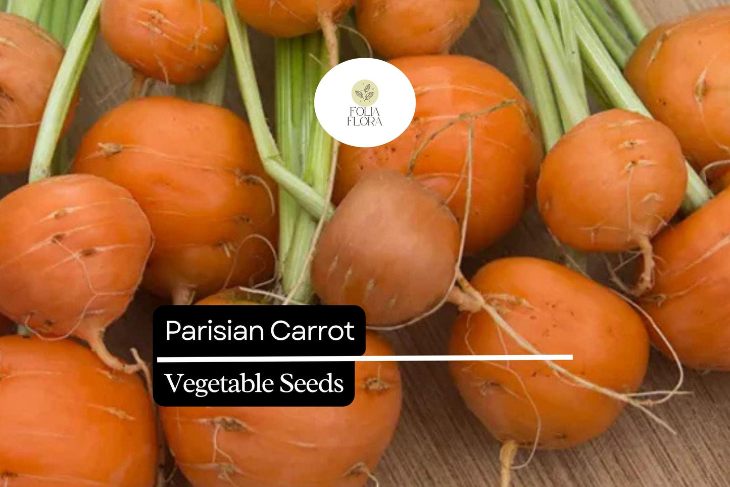 300 Seeds Parisian Carrot (Daucus carota) – Small, Round Heirloom Variety for Gourmet Gardens