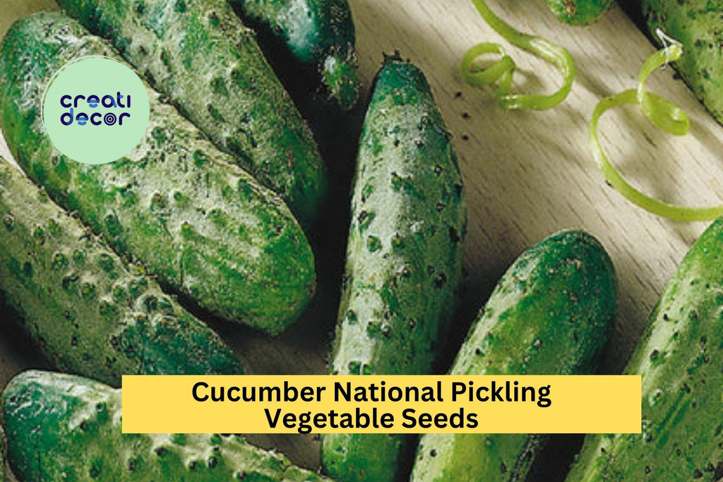 3pcs x 1g Cucumber National Pickling Seeds – High-Yield Variety for Pickles or Fresh Use in Gardens or Containers Seeds for Planting