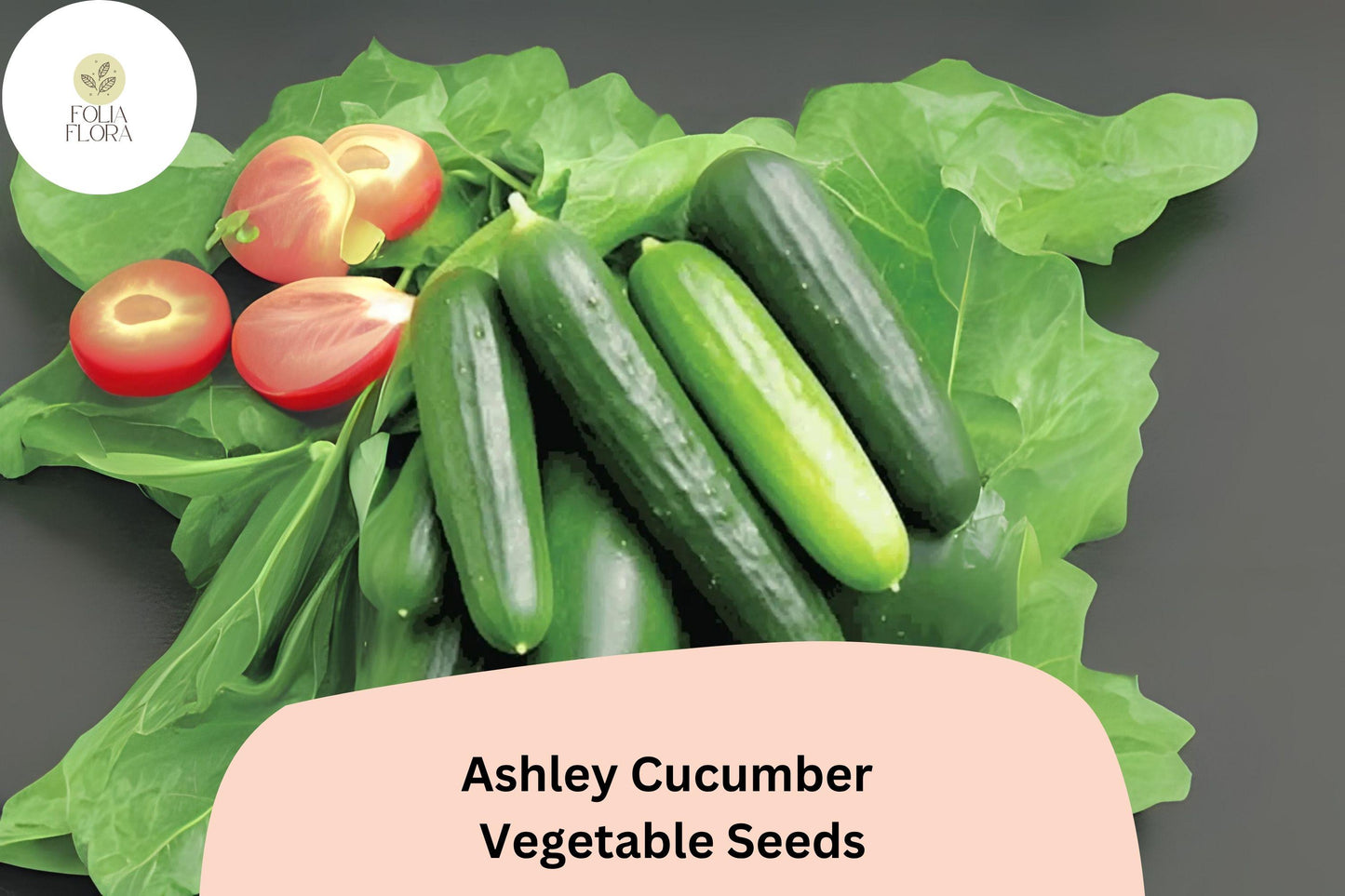 25+ Ashley Cucumber Seeds | Heirloom Slicing Variety | Disease Resistant | Non-GMO Easy Garden Planting