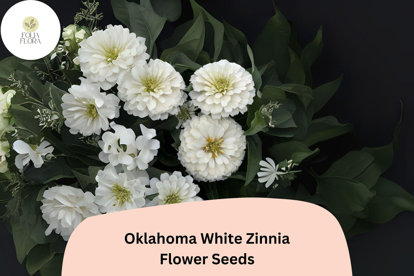 100+ Oklahoma White Zinnia Seeds – Long-Lasting Pure White Blooms, Cut Flower Garden Annuals