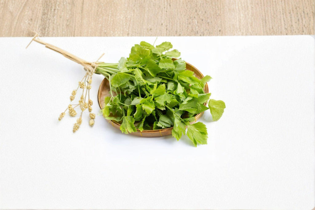 Chinese Celery – Kintsai Dark Green 1350 Seeds | Asian Celery | Strong Aroma | Crisp Stems & Leaves