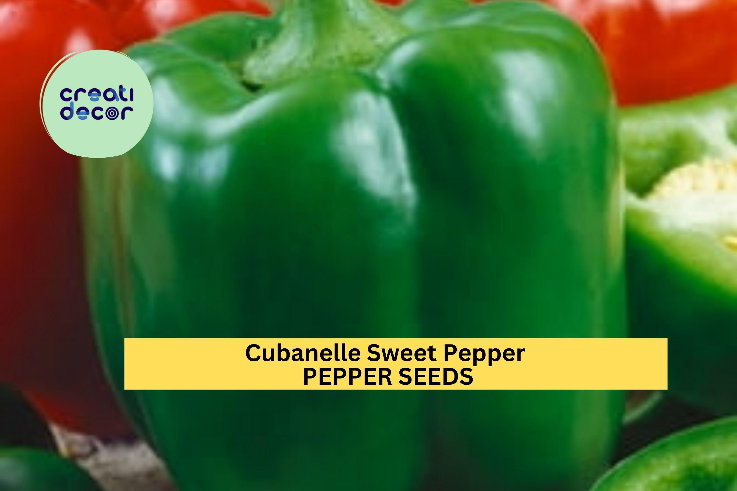 3pcs of 250mg Cubanelle Sweet Pepper Seeds – Mild, Sweet Peppers Ideal for Frying and Stuffing – Vegetable Garden Seeds for Planting