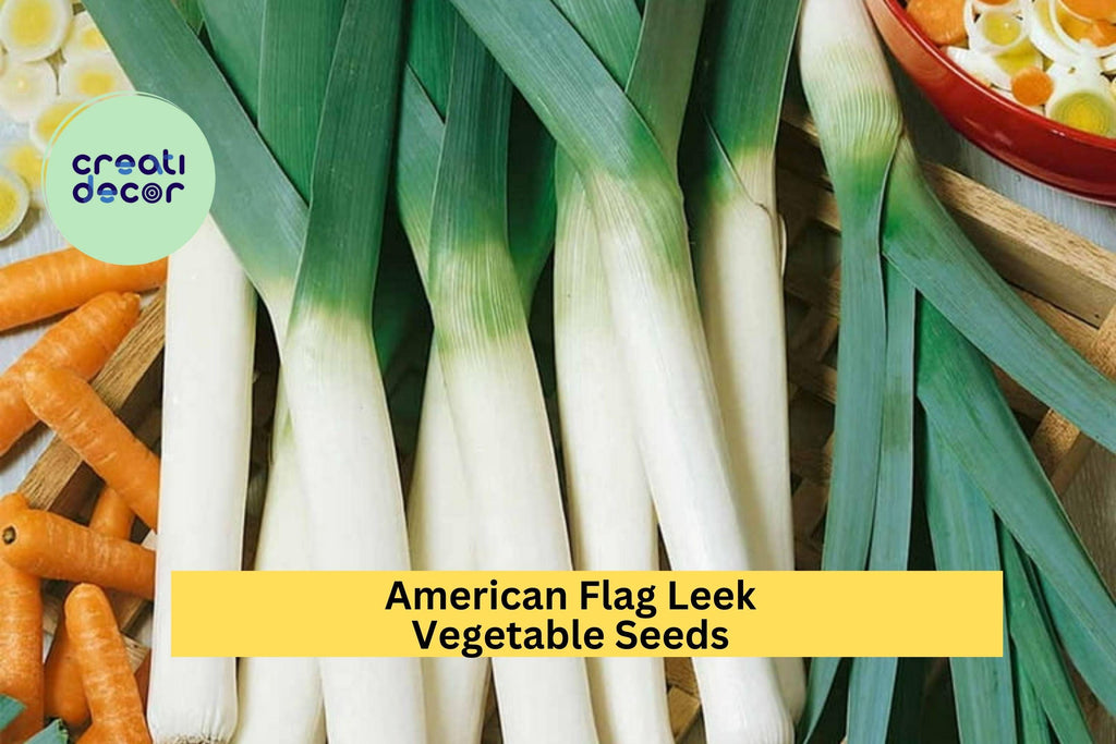 3pcs of 300mg American Flag Leek Seeds – Mild Onion Flavor for Soups, Salads, and Easy Home Garden Planting Seeds for Planting