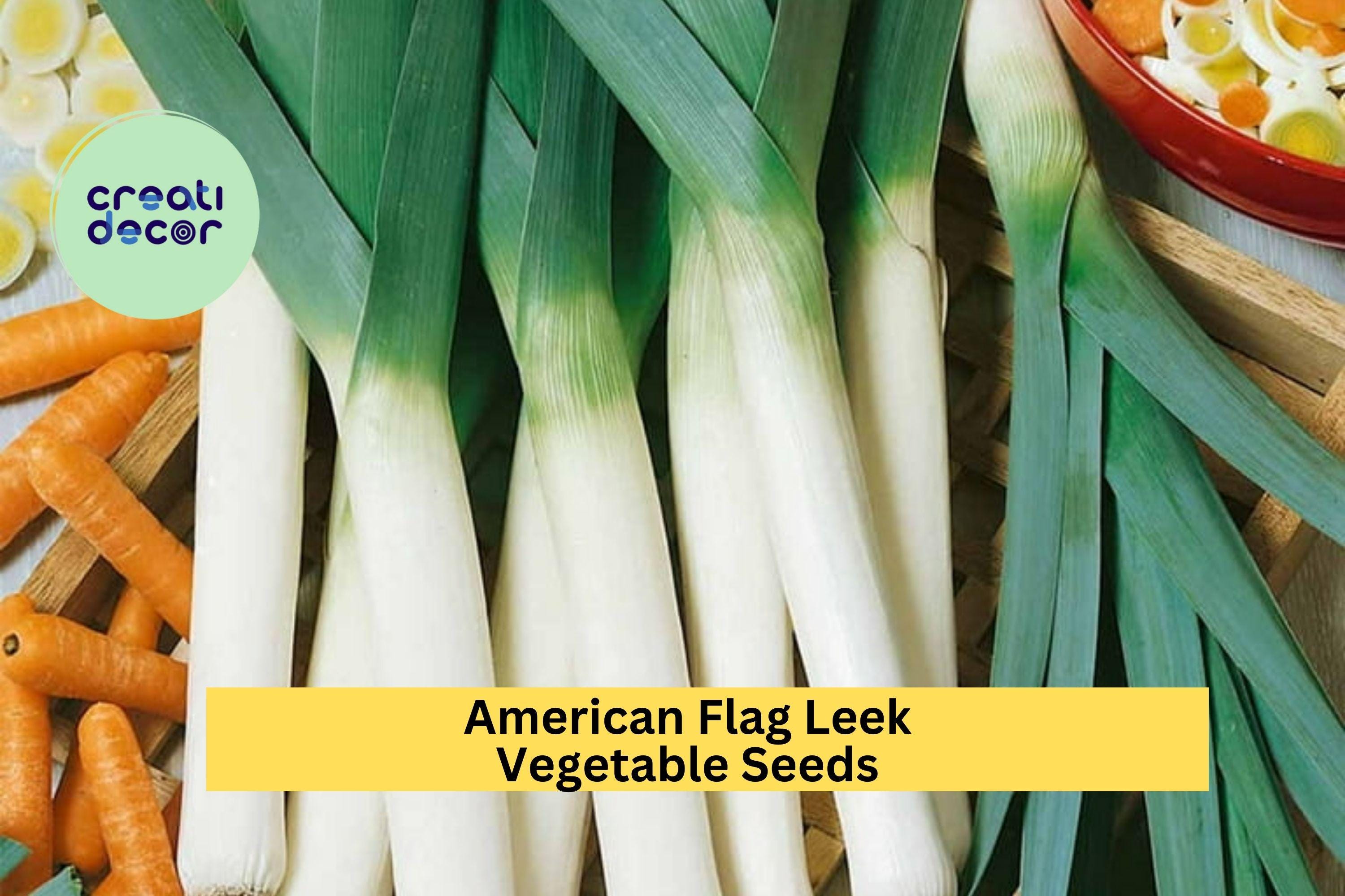 3pcs of 300mg American Flag Leek Seeds – Mild Onion Flavor for Soups, Salads, and Easy Home Garden Planting Seeds for Planting