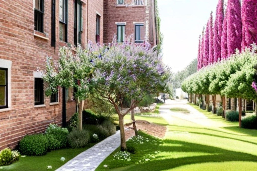 Vitex agnus-castus – Chaste Tree 10 Seeds | Fragrant Purple Blooms | Pollinator Tree | Drought-Tolerant Shrub