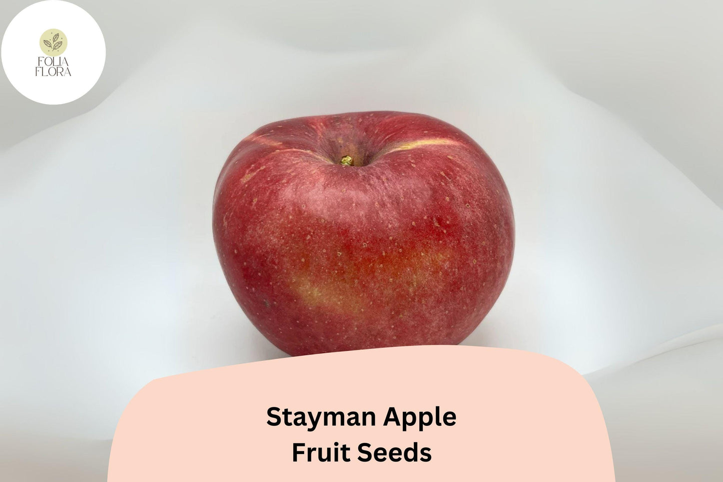 25+ Stayman Apple Seeds | Malus domestica | Heirloom Tart-Sweet Apple Variety | Fruit Tree Seeds for Orchard & Garden
