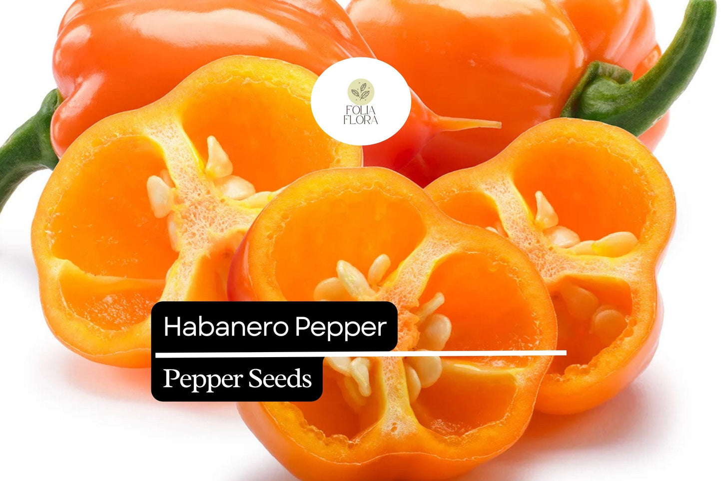 25 Habanero Pepper Seeds – Capsicum chinense – Extra-Hot Chili, Heirloom Variety, Non-GMO, 100,000–350,000 Scoville
