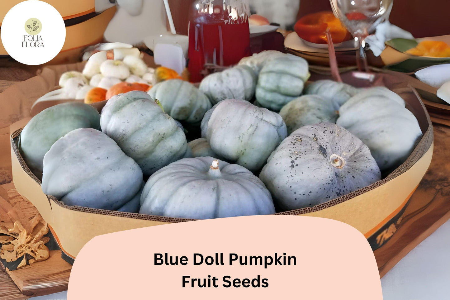 25+ Blue Doll Pumpkin Seeds | Cucurbita maxima | Unique Blue Heirloom Pumpkin for Garden Planting & Fall Displays