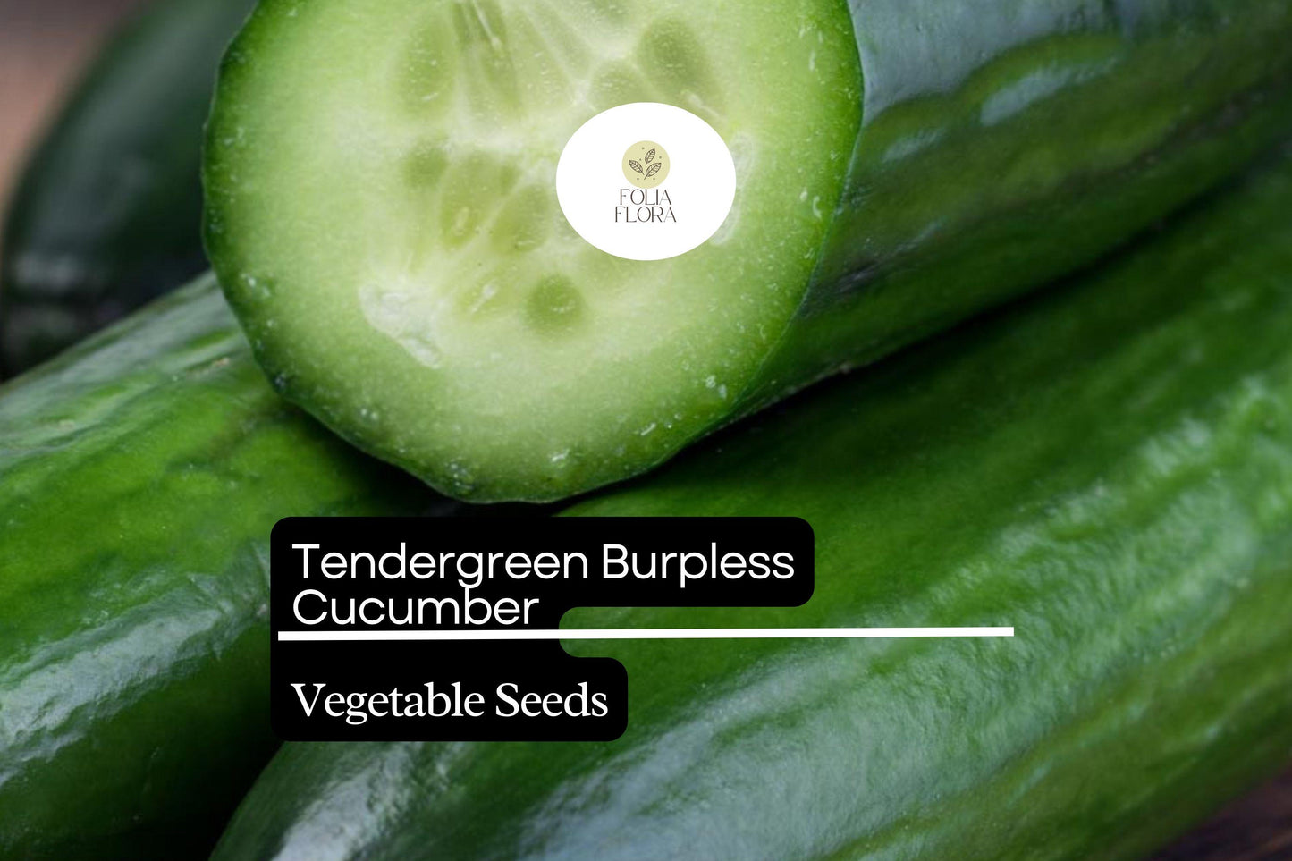 50 Seeds Tendergreen Burpless Cucumber (Cucumis sativus) – Sweet, Non-Bitter, Crisp Garden Favorite for Slicing & Salads