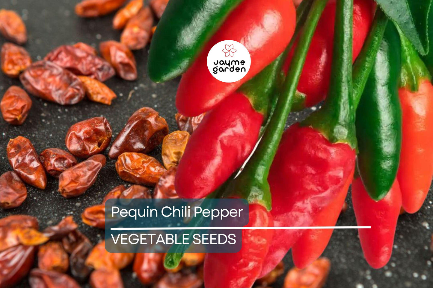 50+ Pequin Chili Pepper Seeds - 24" Hot Piquin Bird Pepper - NON-GMO USA