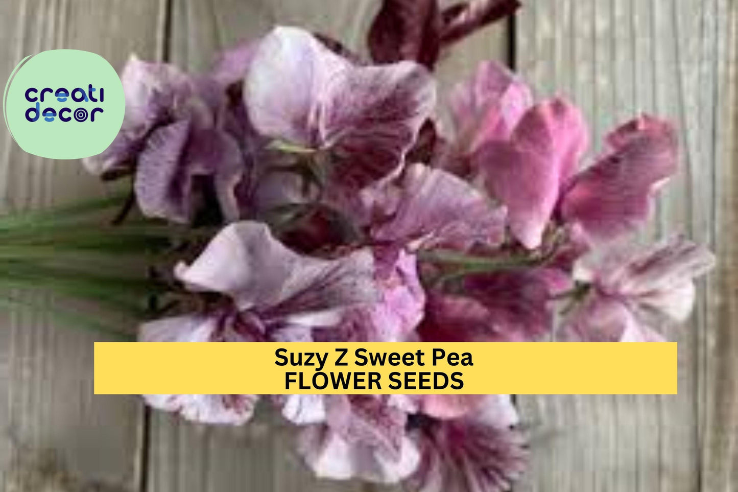 50+ Suzy Z Sweet Pea Seeds – Bright Pink Fragrant Blooms for Garden Planting, Climbing Vines for Trellises, Fences & Bouquets – USA