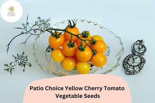 100 Patio Choice Yellow Cherry Tomato Seeds | Compact Heirloom Tomato for Pots & Gardens | Sweet Flavor | Easy to Grow