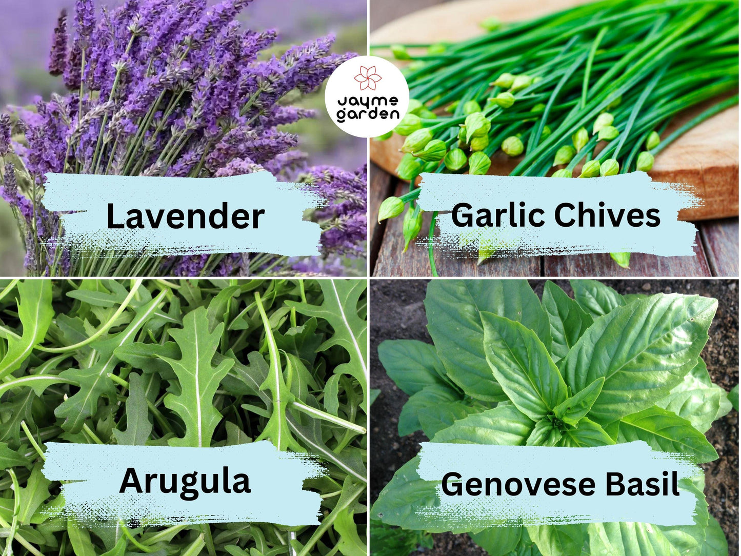 12 Herb Seeds Variety - Heirloom Basil, Thyme, Parsley, Sage, Oregano, Lavender, Caraway, Chives, Summer Savory, Cilantro, Dill, Arugula