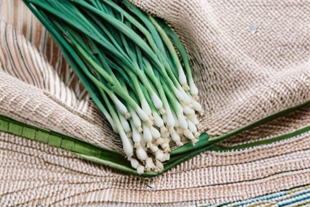Onion – Tokyo Long (Bunching) 250 Seeds | Japanese Green Onion | Non-Bulbing | Mild & Fast Growing